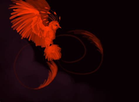 Phoenix Speed Paint By Novilunar On Deviantart Phoenix Speed Paint By Novilunar On Deviantart