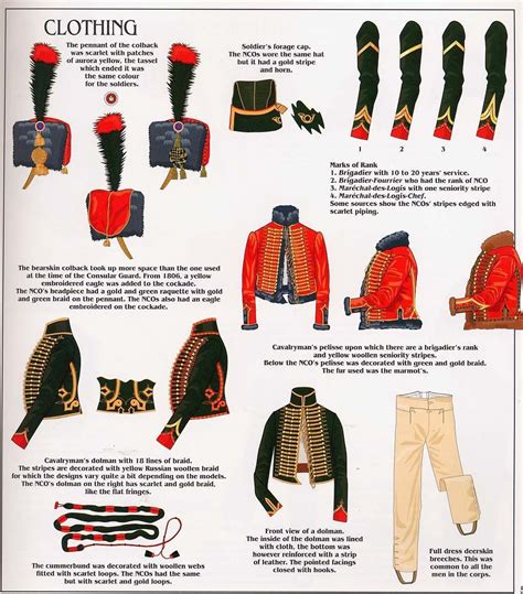 Pin By Dennis On Napoleonic Uniforms British Army Uniform Napoleonic Pin By Dennis On Napoleonic Uniforms British Army Uniform Napoleonic