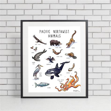 Pnw Animals Poster Etsy Pnw Animals Poster Etsy
