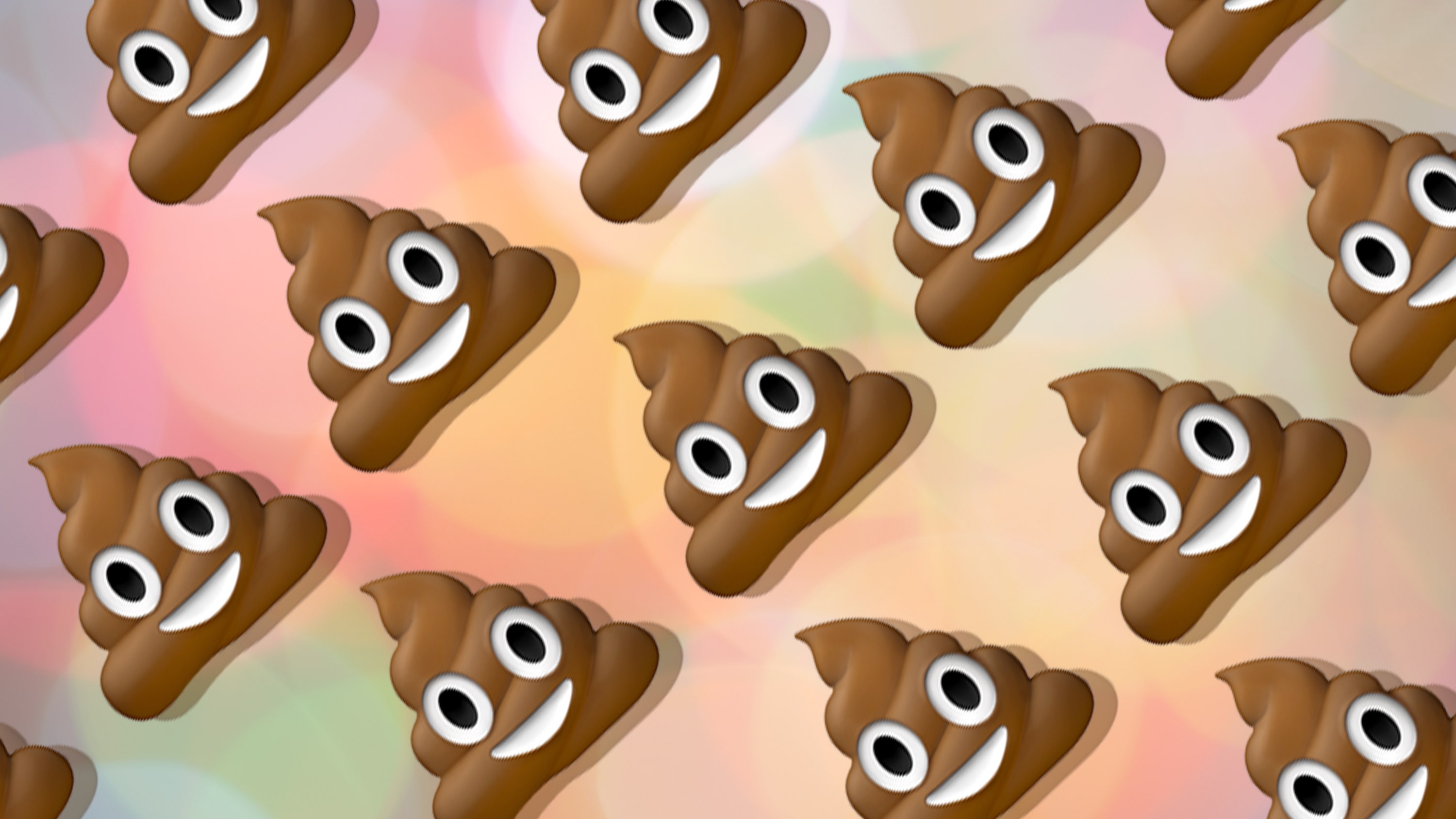 Poopy Dog Care Tips