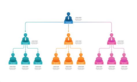 Positions In A Business