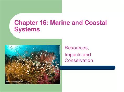 Ppt Chapter 16 Marine And Coastal Systems Powerpoint Presentation Ppt Chapter 16 Marine And Coastal Systems Powerpoint Presentation