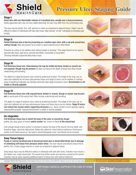 Pressure Ulcer Staging Guide Shield Healthcare Pressure Ulcer Staging Guide Shield Healthcare