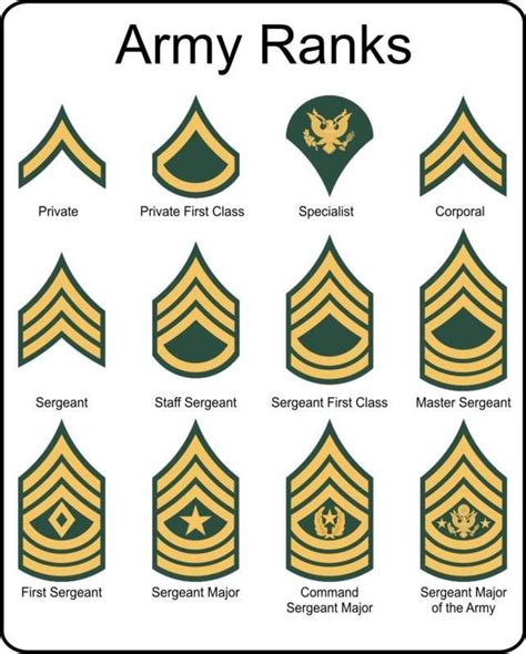 Printable Military Rank Chart Printable New Year Banners Printable Military Rank Chart Printable New Year Banners