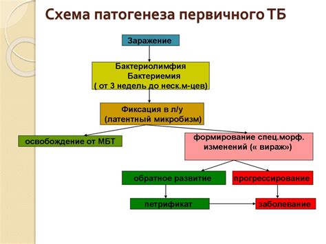 Прививка от туберкулеза