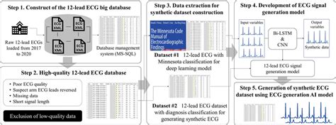 Proceeding Steps For Generating A Synthetic 12 Lead Ecg Signal Dataset Proceeding Steps For Generating A Synthetic 12 Lead Ecg Signal Dataset