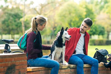 Public Petting Etiquette