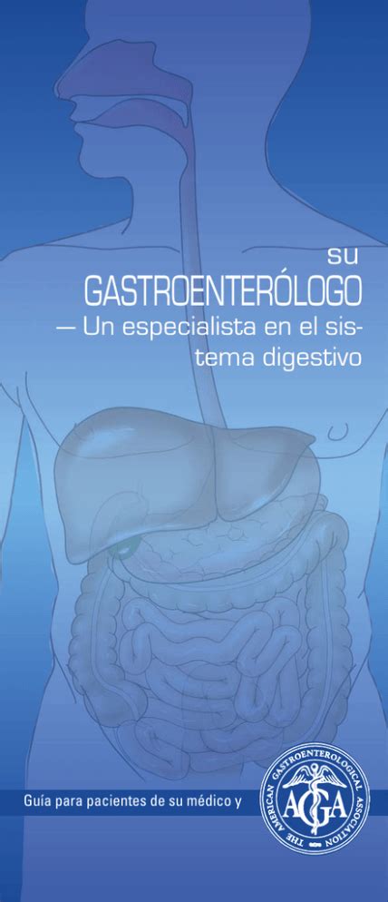 Qu Es Un Gastroenter Logo Y Cu Les Son Sus Funciones Funci N Activa Qu Es Un Gastroenter Logo Y Cu Les Son Sus Funciones Funci N Activa