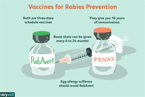 Rabies Vaccine Symptoms Rabies Vaccine Symptoms