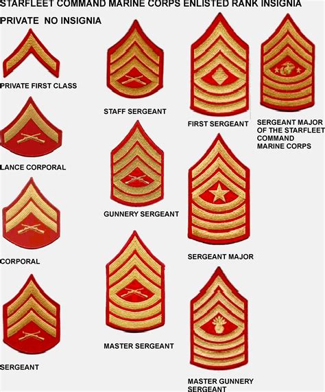 Rairingcatle Marine Corps Rank Structure Rairingcatle Marine Corps Rank Structure
