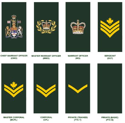 Rank Appointment Insignia