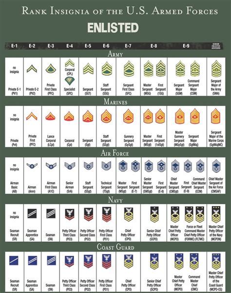 Rank Structure Army Enlisted Alert Data Rank Structure Army Enlisted Alert Data