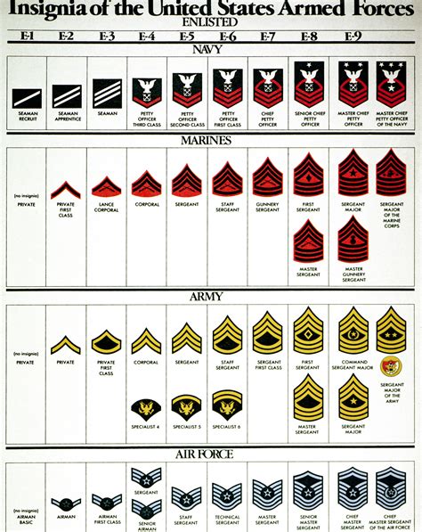 Rank Structure Army Enlisted