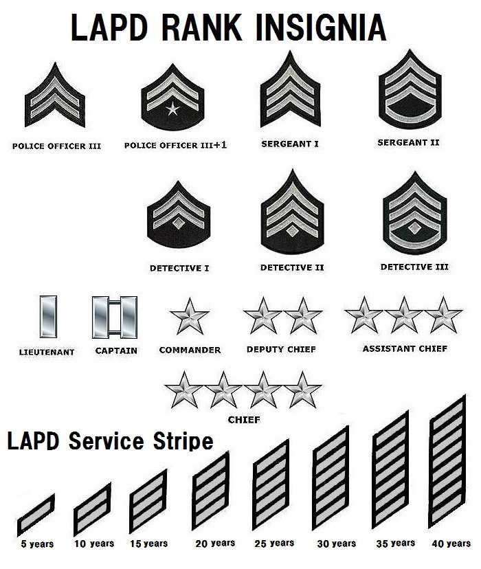 Rank Structure Lapd Online 2024 Rank Structure Lapd Online 2024