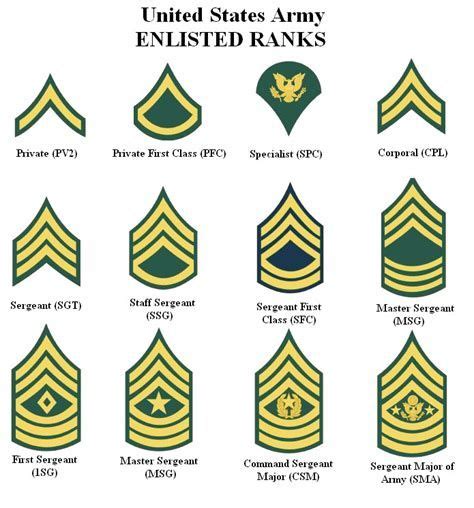 Ranks In The Army From Lowest To Highest Pictures Yahoo Image Search Ranks In The Army From Lowest To Highest Pictures Yahoo Image Search
