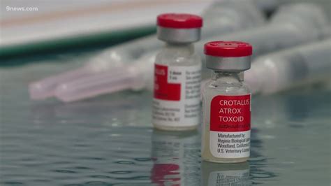 5 Tips Rattlesnake Vaccine