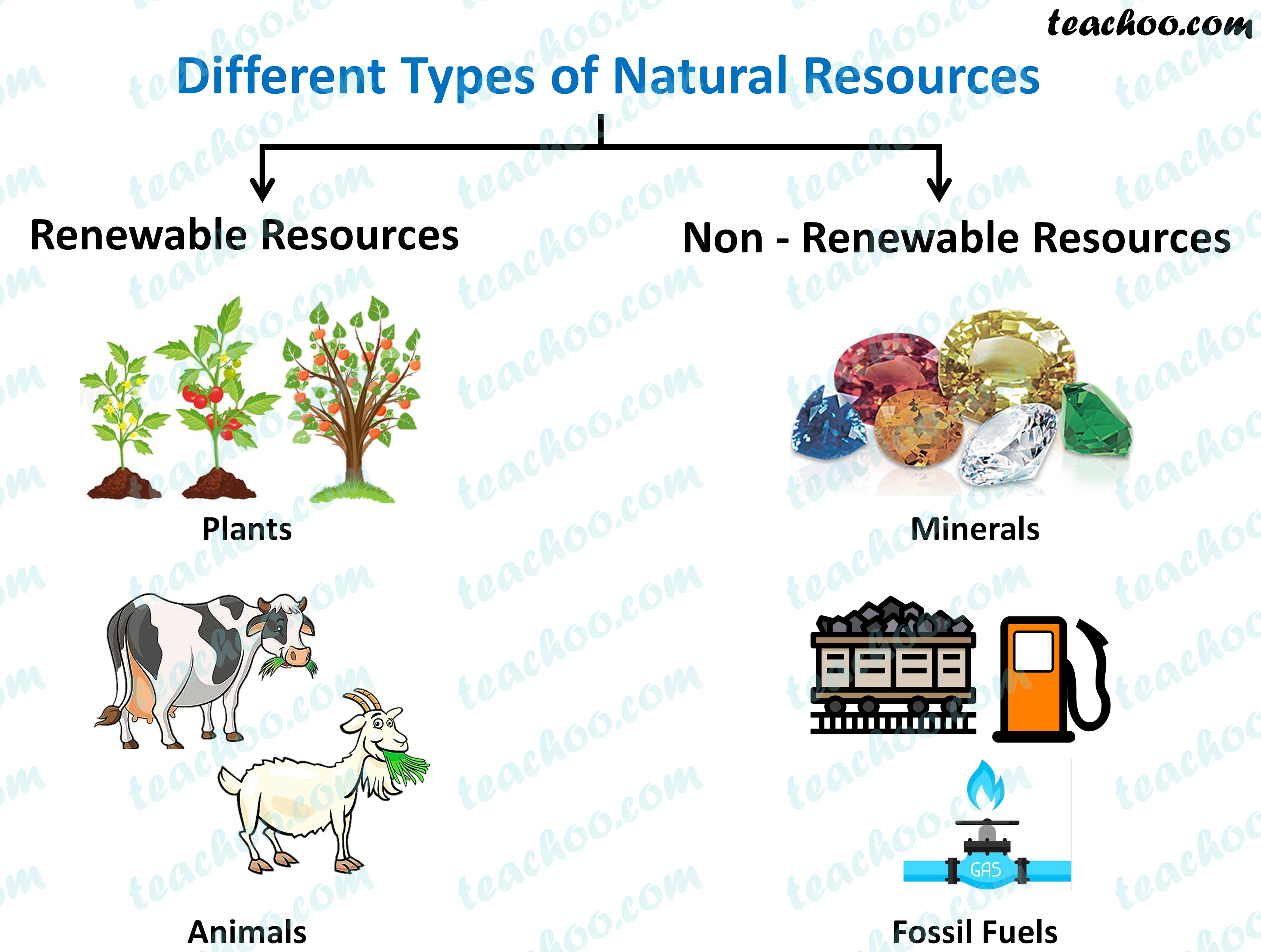 Resources Calviva Health Resources Calviva Health