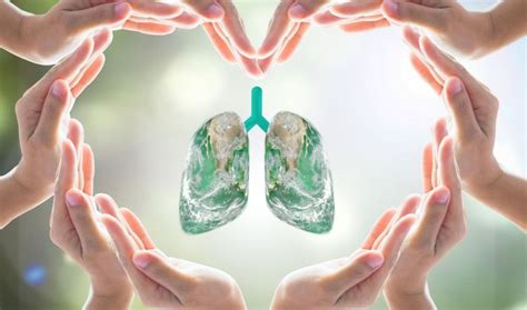 Respiratory Therapy Lung Health Vaughan Community Health Centre Respiratory Therapy Lung Health Vaughan Community Health Centre