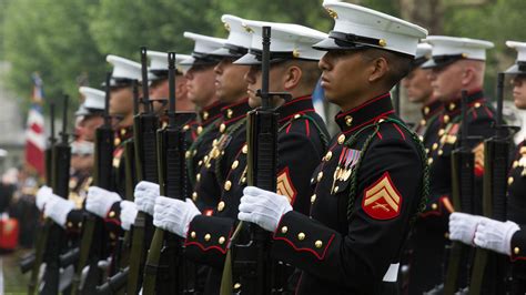 Rifle Salute Rifle Salute