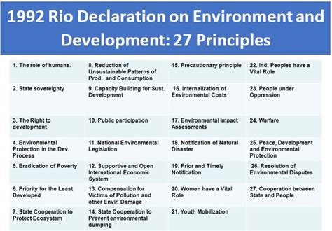 Rio Declaration On Environment And Health Public Health Notes
