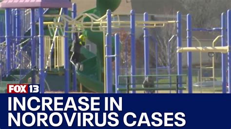 Seattle Norovirus Outbreak Alert