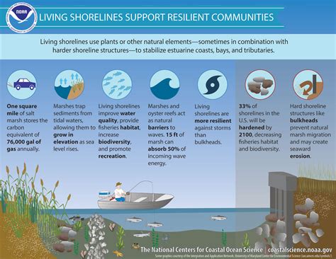 5 Ways Shoreline