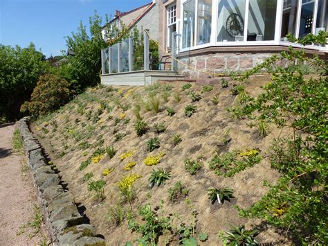 Slope Planting Made Easy