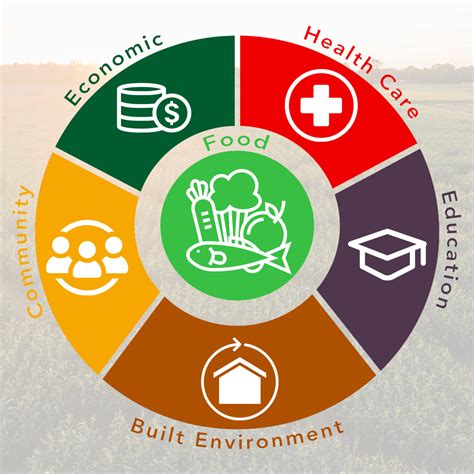Social Determinants Of Health Abound Food Care Social Determinants Of Health Abound Food Care