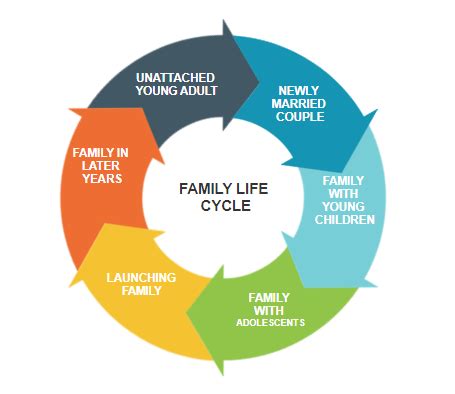 Solved Family Life Cycle Stage I Need The Key Principles Of Emotional Solved Family Life Cycle Stage I Need The Key Principles Of Emotional