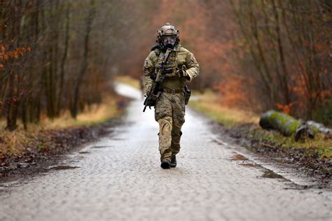 Special Forces Physical Requirements Alert Data Special Forces Physical Requirements Alert Data
