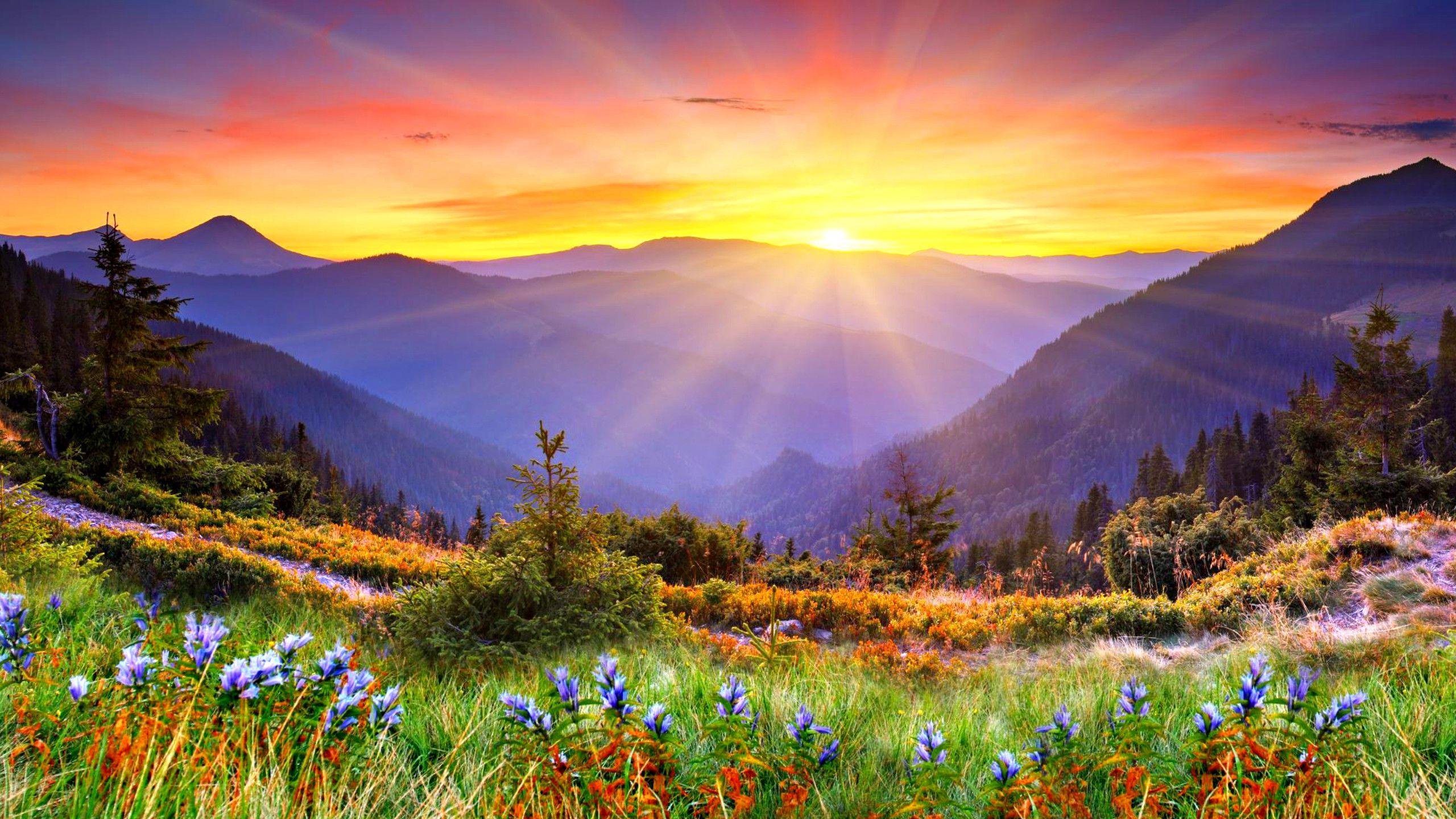 Sunrise Community Health