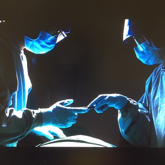 Surgical Assistant Excerpt American Surgical Professionals Surgical Assistant Excerpt American Surgical Professionals
