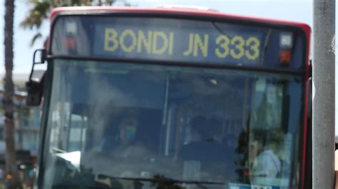 Sydney 333 Bus Driver Attacks Elderly Woman On Tuesday Morning Daily Sydney 333 Bus Driver Attacks Elderly Woman On Tuesday Morning Daily