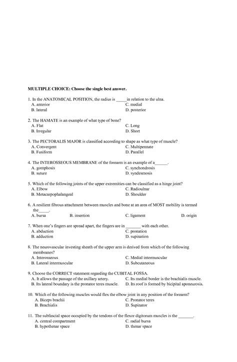 Texas Tech Anatomy Practice Questions