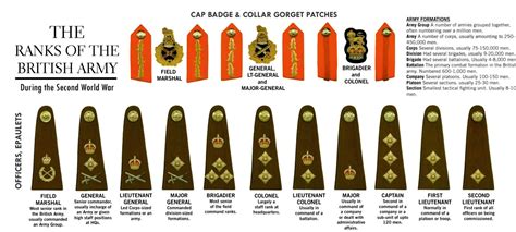 The Army British Ranks In The Army The Army British Ranks In The Army