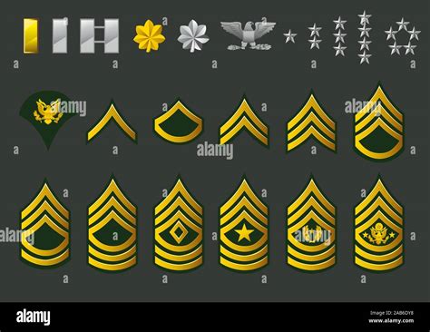 The Army Enlisted Ranks In The Army The Army Enlisted Ranks In The Army