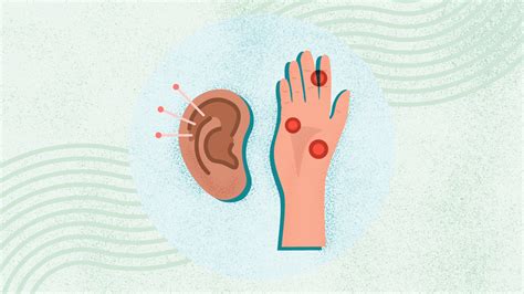 The Benefits And Basics Of Acupressure A Comprehensive Guide The Benefits And Basics Of Acupressure A Comprehensive Guide