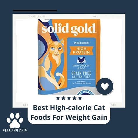 The Best High Calorie Cat Food For Weight Gain Review In 2021 The Best High Calorie Cat Food For Weight Gain Review In 2021
