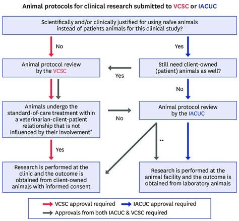 The Flow Of The Animal Protocol Review And Approval For The Clinical The Flow Of The Animal Protocol Review And Approval For The Clinical