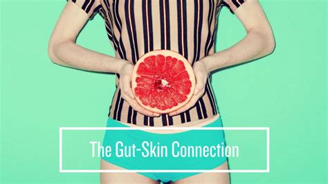The Gut Skin Connection How Gut Health Is The Key To Clear Skin The Gut Skin Connection How Gut Health Is The Key To Clear Skin