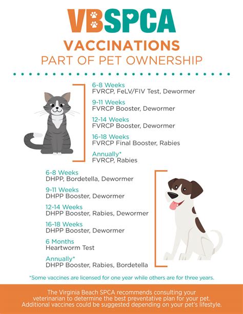 The Importance Of Vaccinating Your Pet Virginia Beach Spca The Importance Of Vaccinating Your Pet Virginia Beach Spca