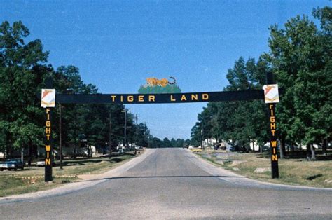 Tigerland Entrance Ft Polk Louisiana 1968 Fort Polk Vernon Parish Tigerland Entrance Ft Polk Louisiana 1968 Fort Polk Vernon Parish