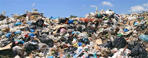 Trash Effcting Your Health