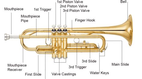 Trumpet Diagram Trumpet Diagram
