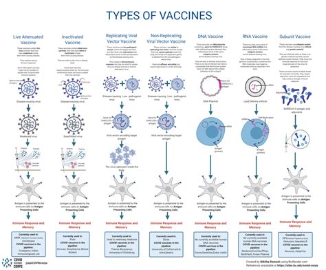 Types Of Vaccines Infographics Epidemiology Covid 19 Response Corps Types Of Vaccines Infographics Epidemiology Covid 19 Response Corps