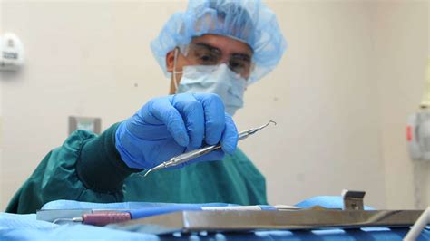 U S Air Force Career Detail Dental Assistant U S Air Force Career Detail Dental Assistant