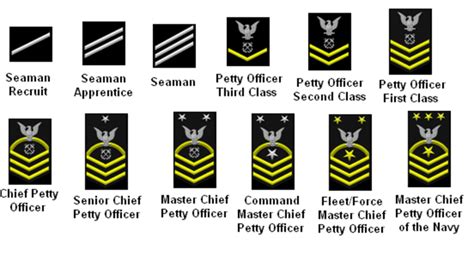 U S Military Ranks And Rates U S Military Ranks And Rates