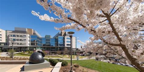 Unc Cancer Hospital In Spring Department Of Anesthesiology Unc Cancer Hospital In Spring Department Of Anesthesiology