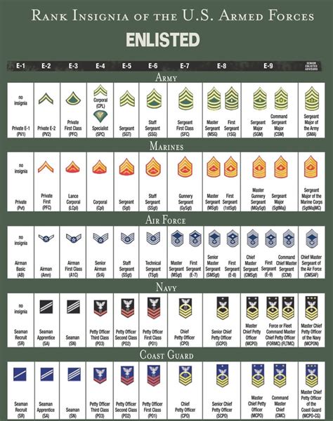 United States Military Rank Structure For The Air Force Army Marines United States Military Rank Structure For The Air Force Army Marines