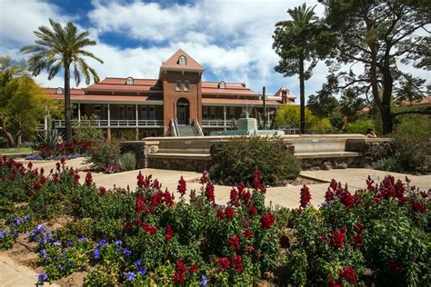 University of Arizona Dating Scene